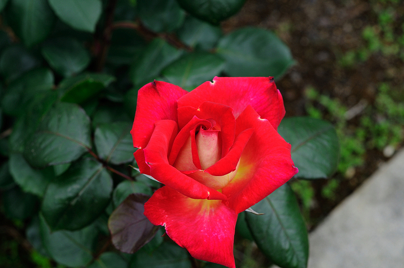 image0234