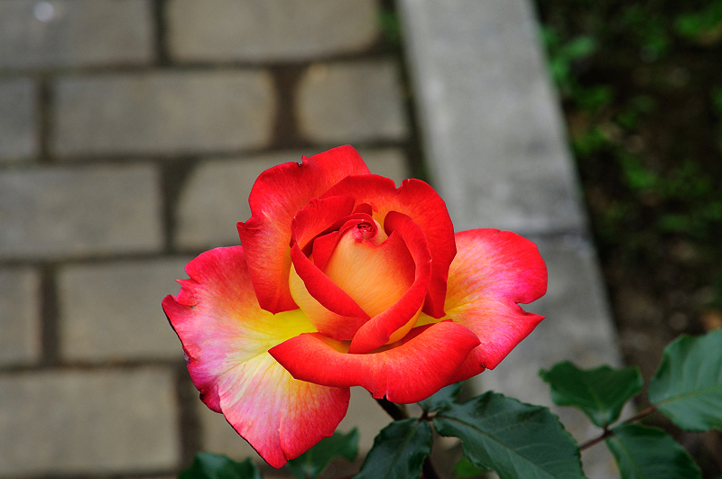 image0235