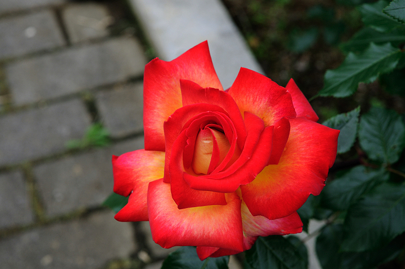 image0236