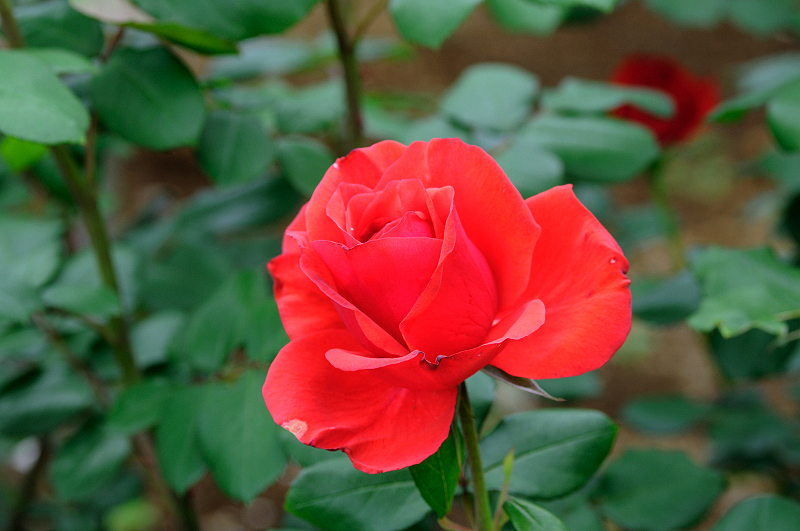 image0240