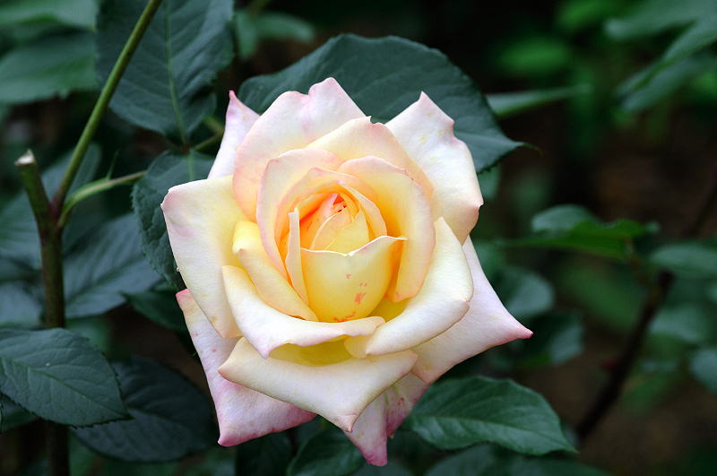 image0241