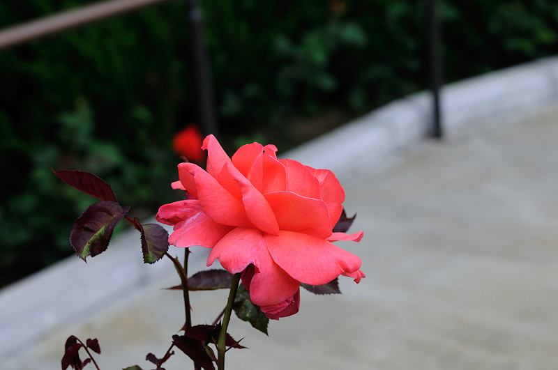 image0244