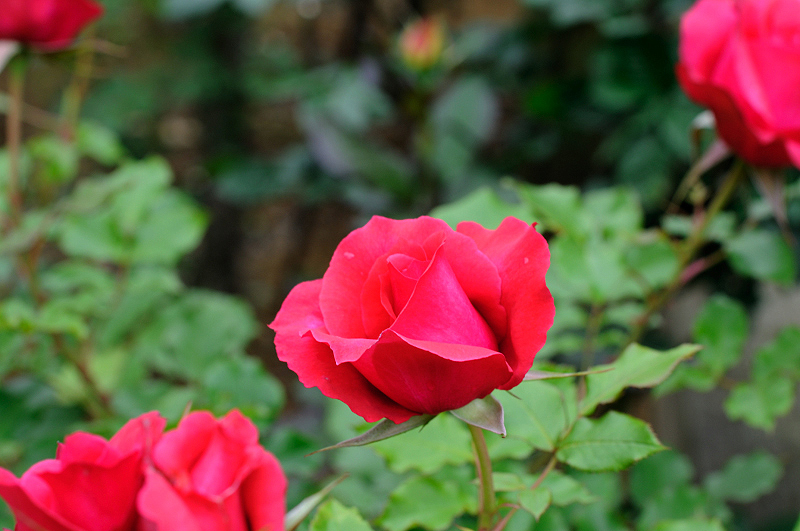 image0245