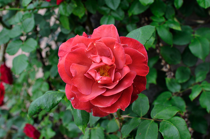 image0248
