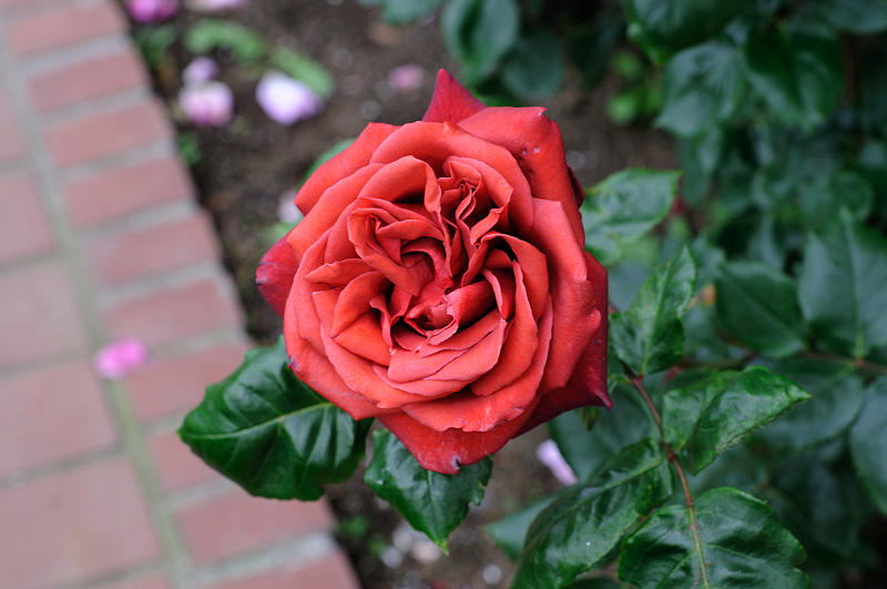 image0250