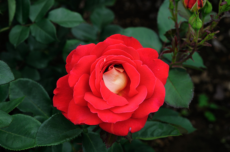 image0256