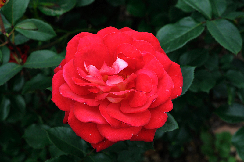 image0257