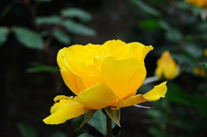 image0263