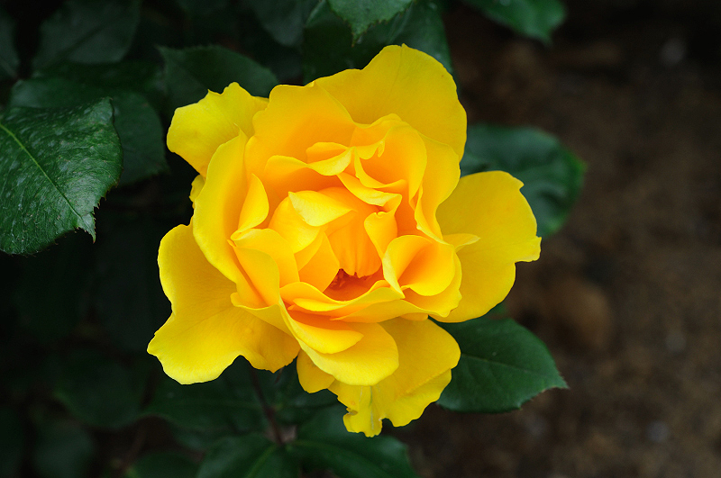 image0266