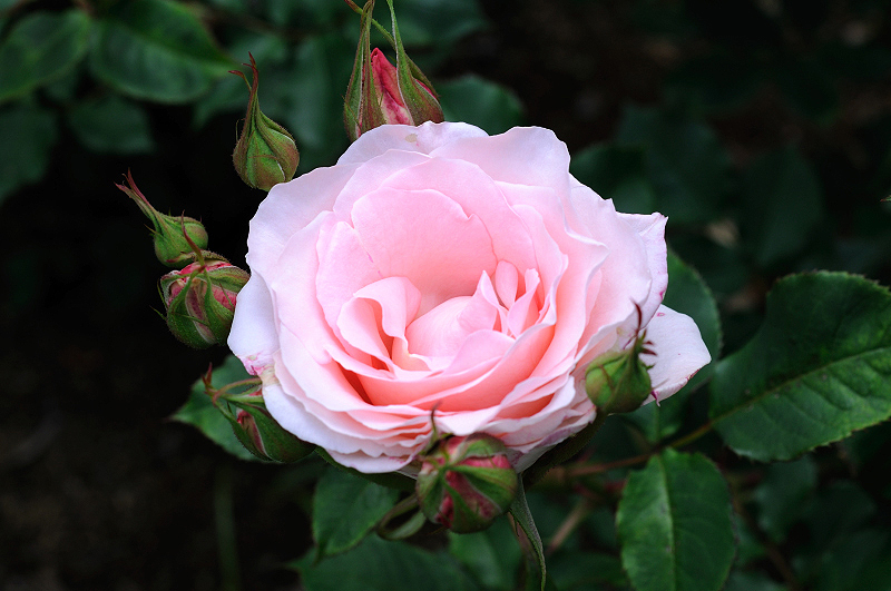 image0270