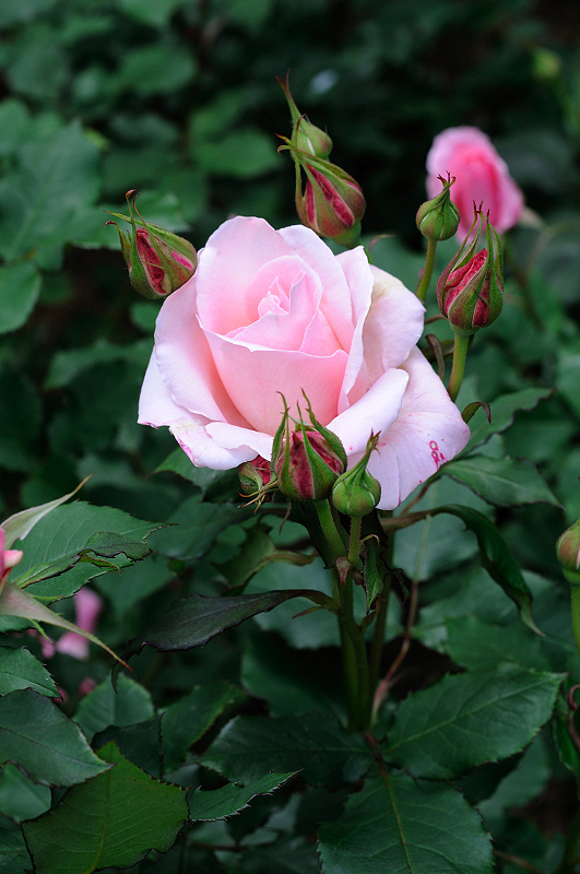 image0271