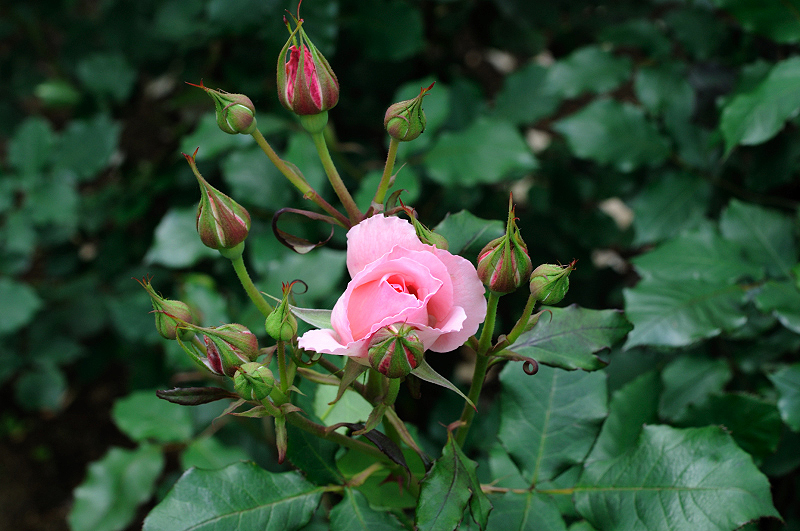 image0273