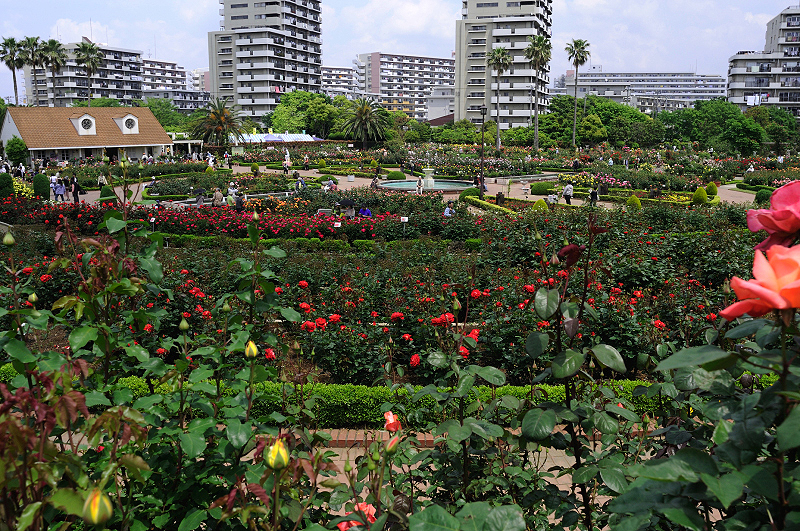 image0274