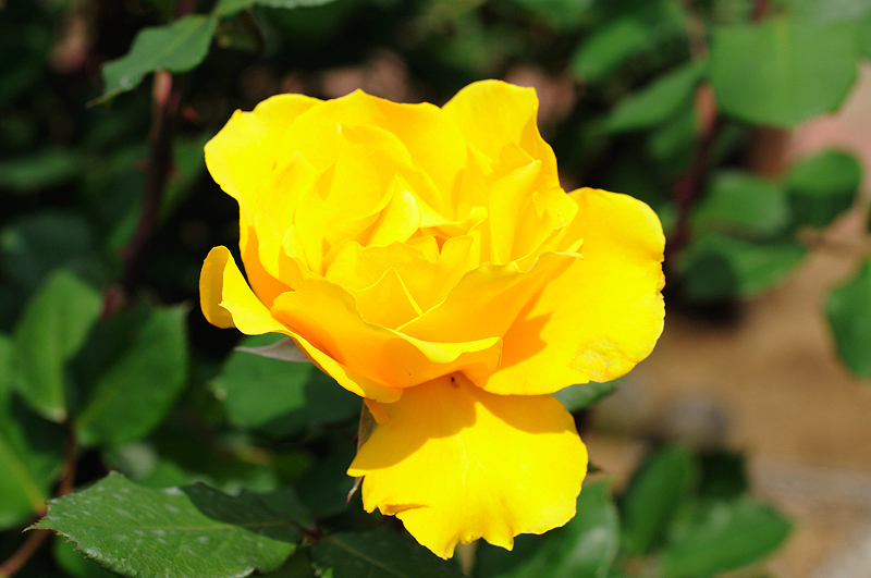 image0277