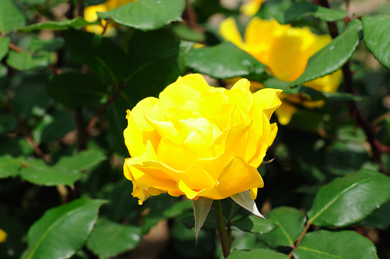image0278