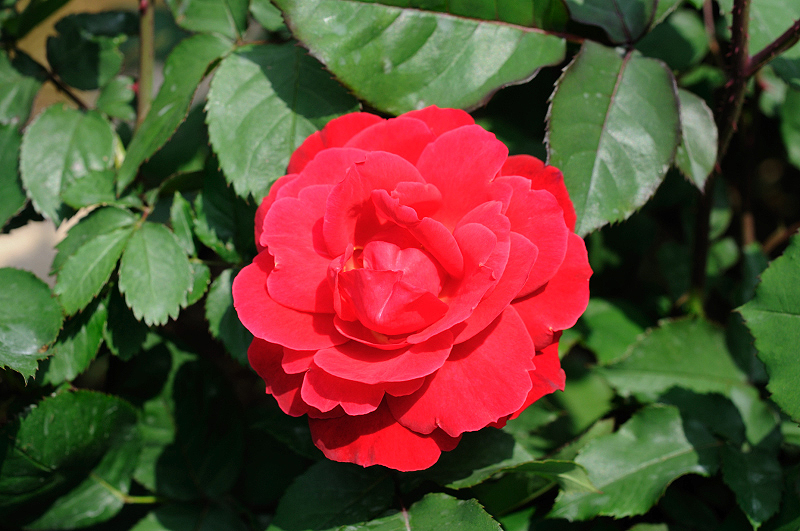 image0281