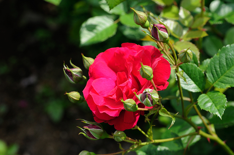image0282