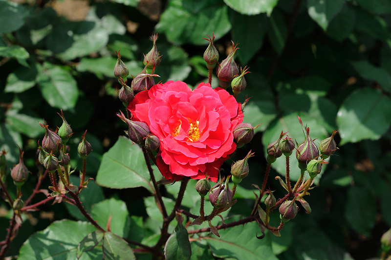 image0284