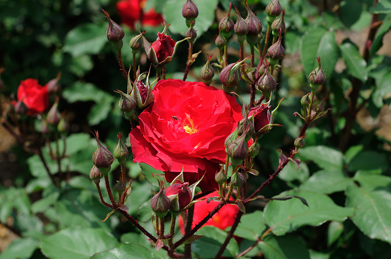 image0285