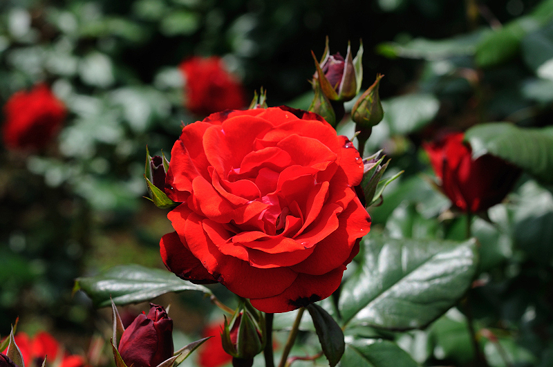image0288