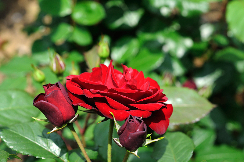 image0289