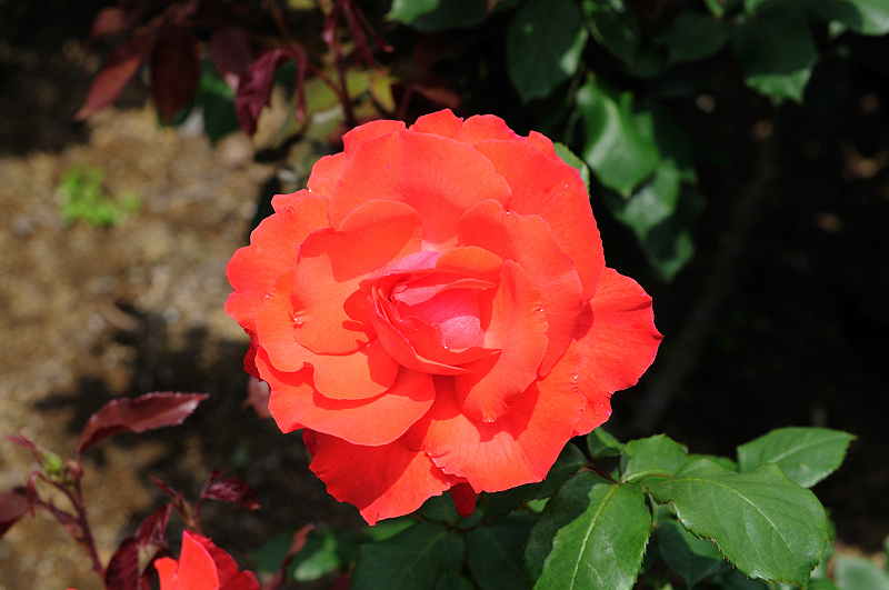 image0291