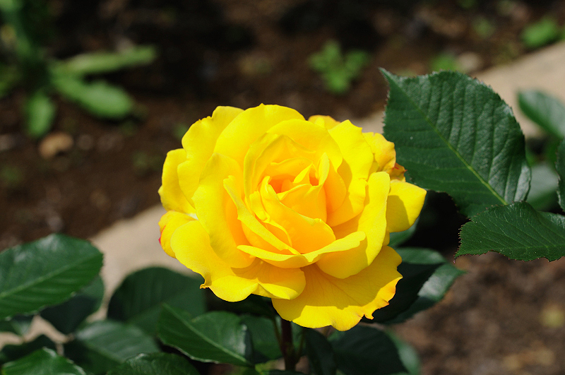 image0293