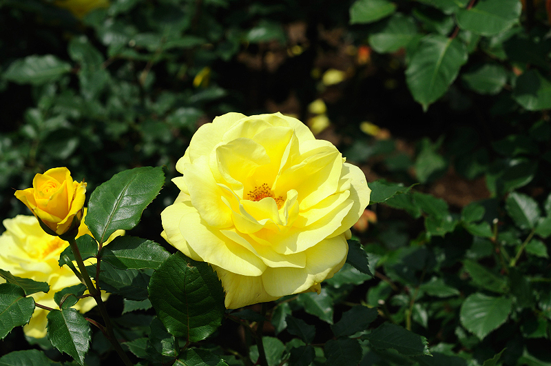 image0298