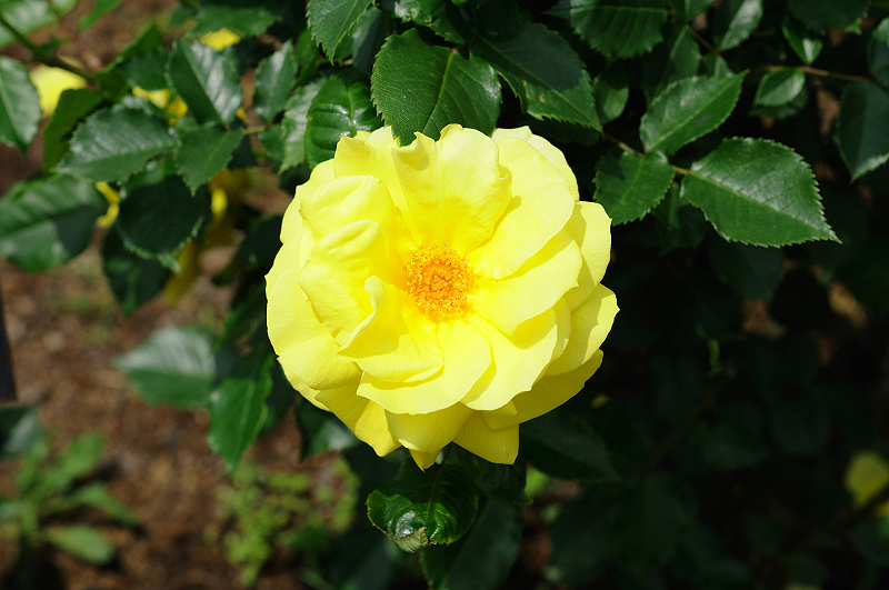 image0299