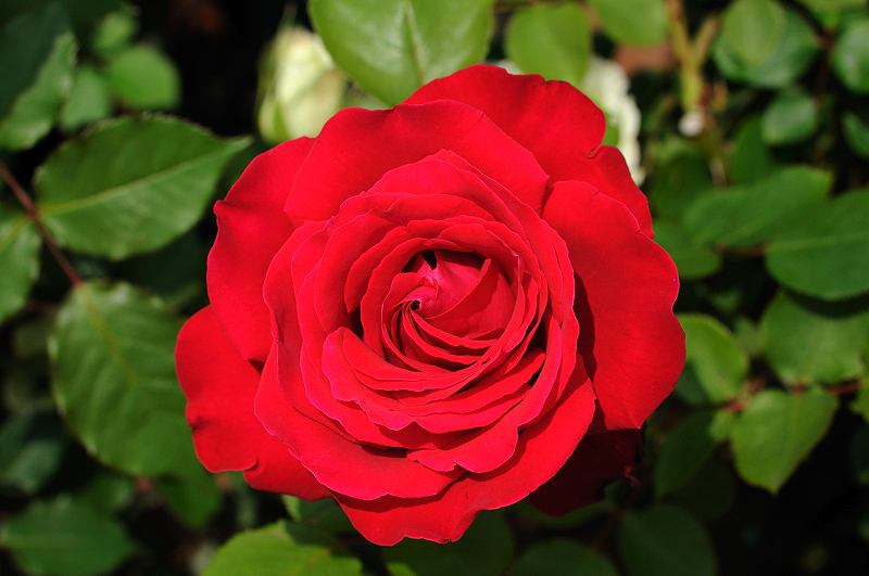 image0300