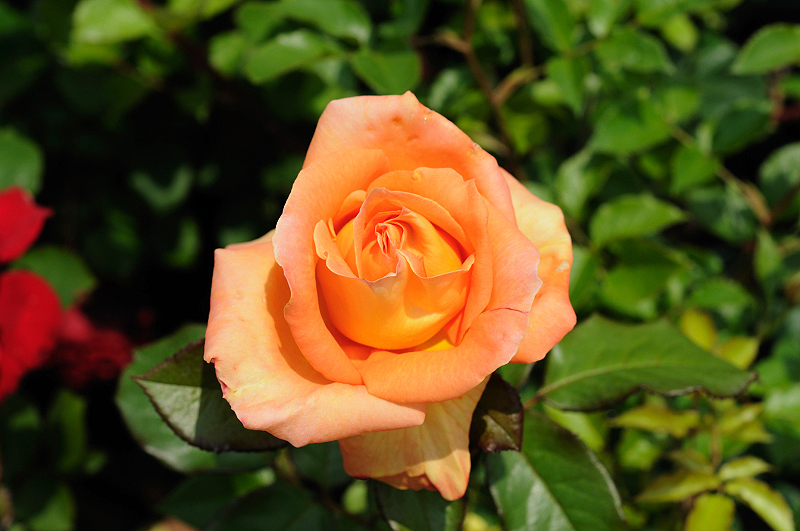 image0301