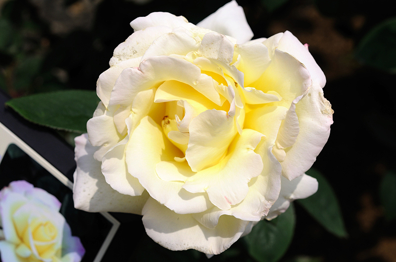 image0305