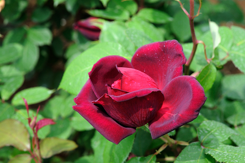 image0310