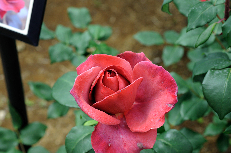 image0314