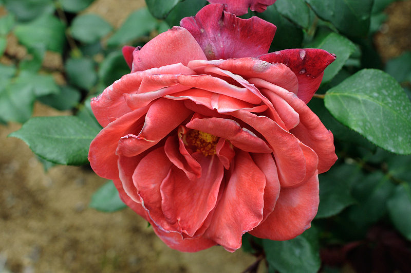 image0315