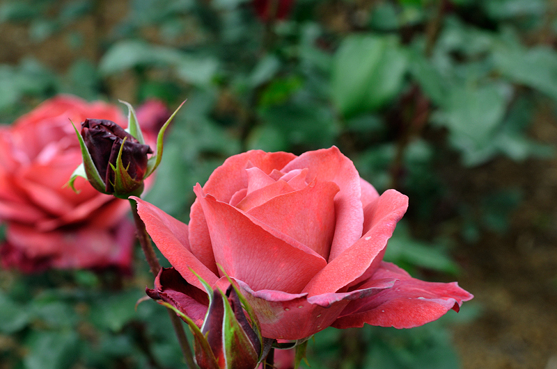 image0316