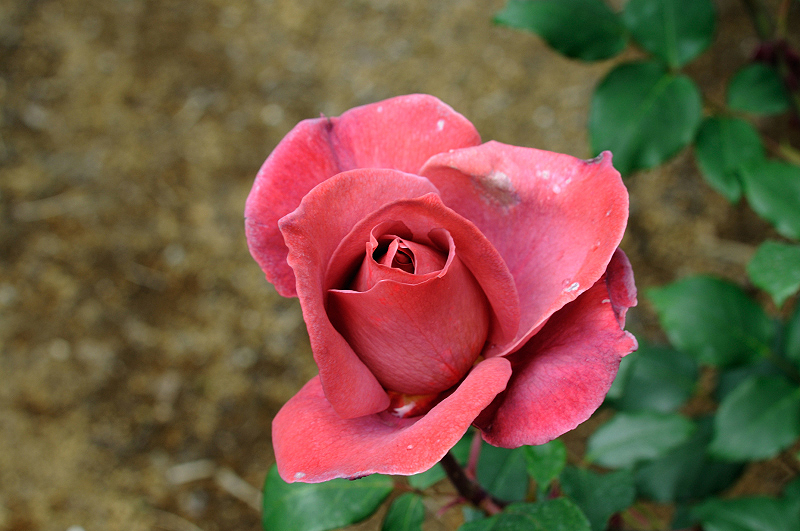 image0317