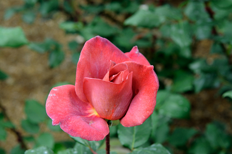 image0318