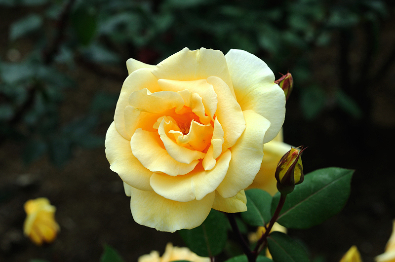 image0320