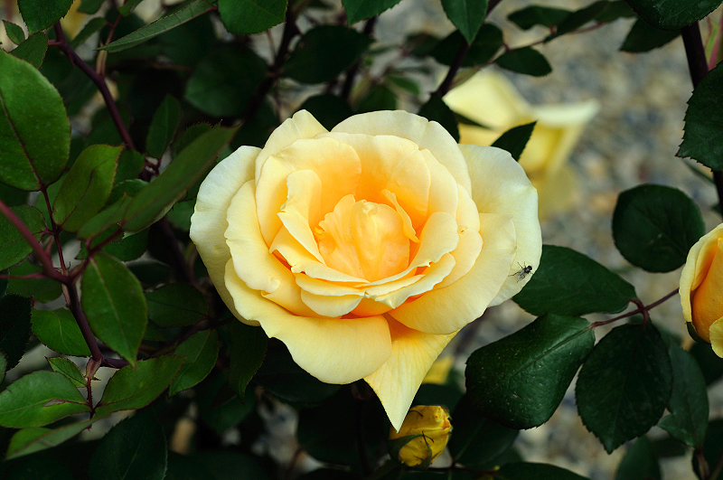image0321