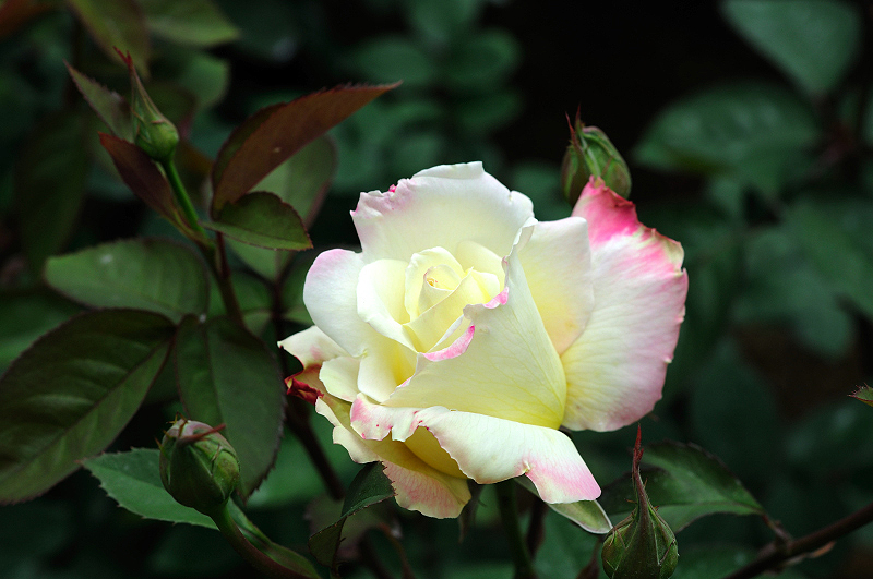 image0324
