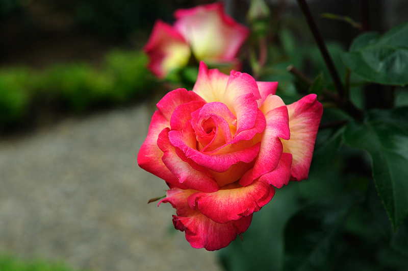 image0325