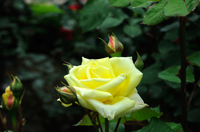 image0326