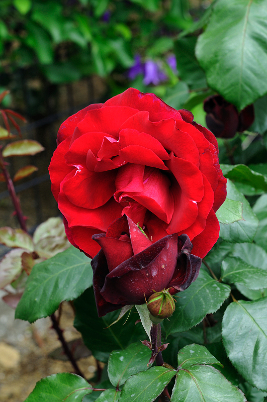 image0328