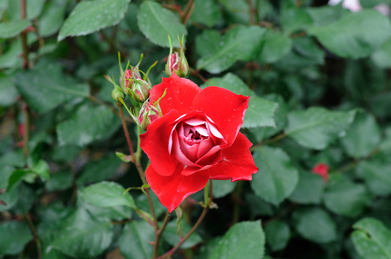 image0329