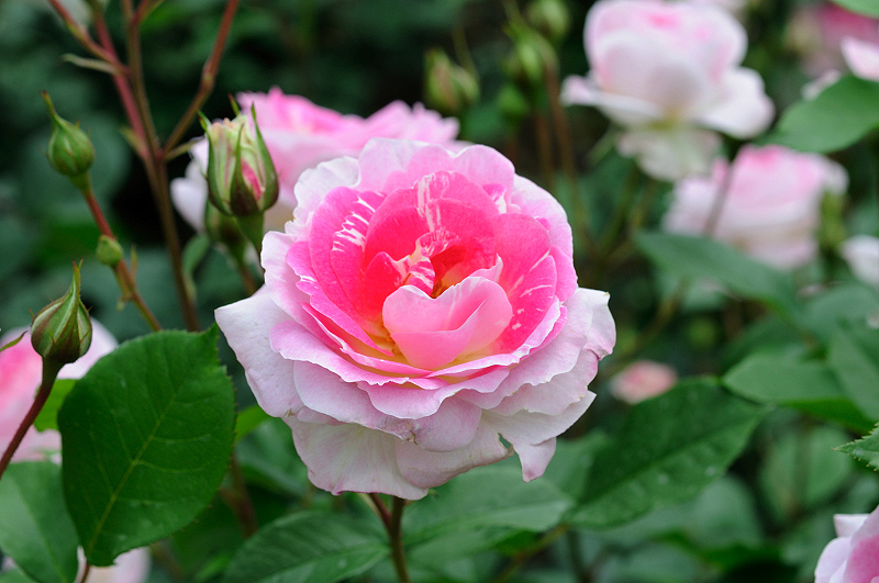 image0330