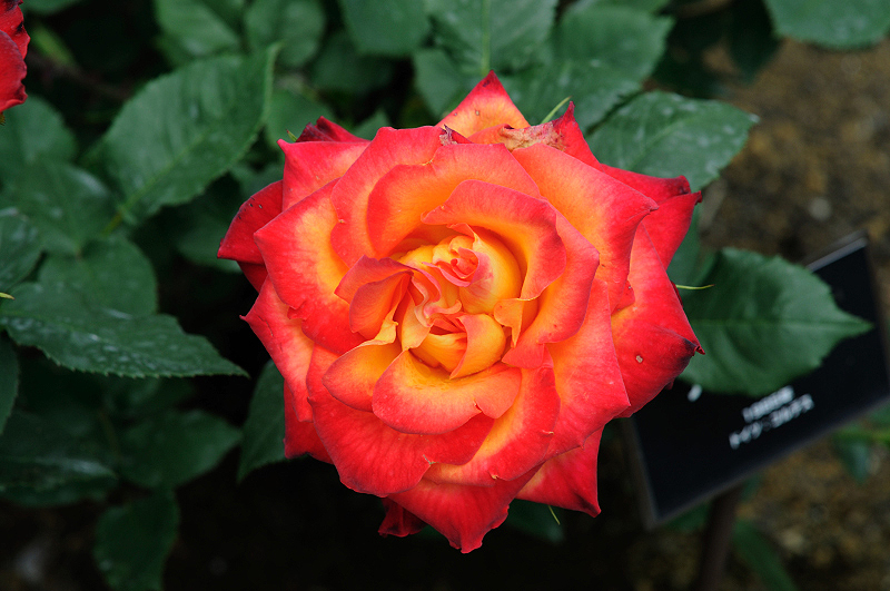 image0331