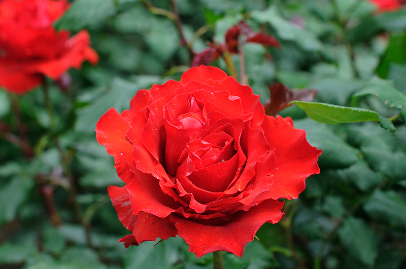 image0337