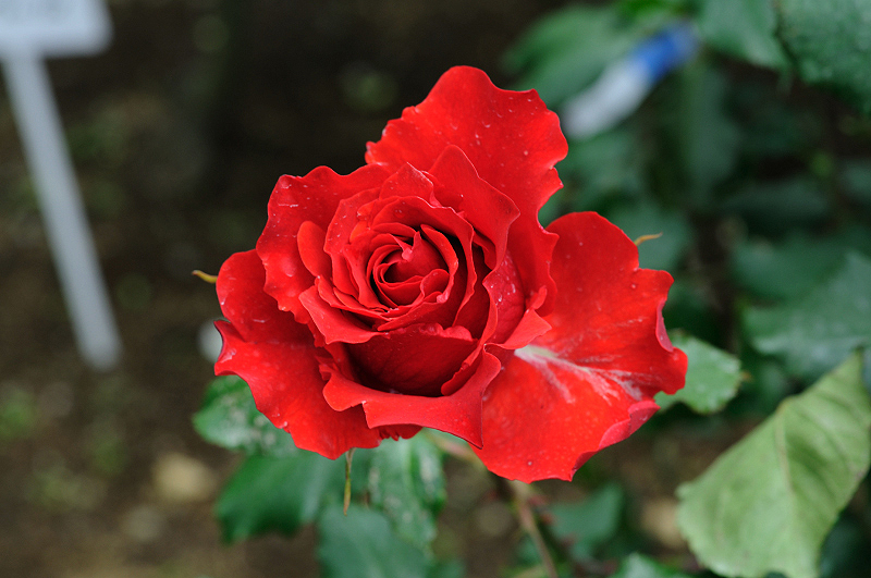 image0338