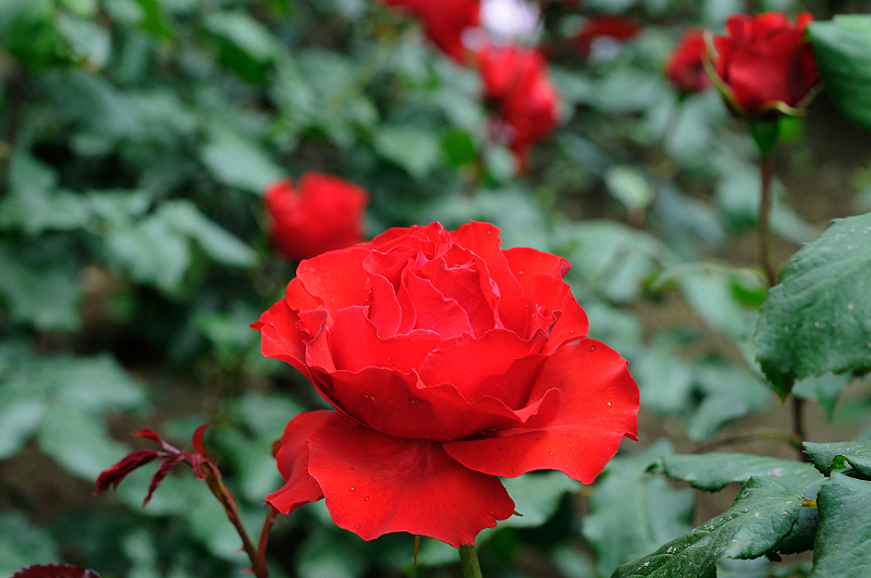 image0339